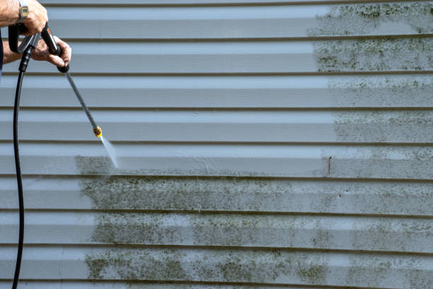 Storm Damage Siding Repair in Linden, AZ