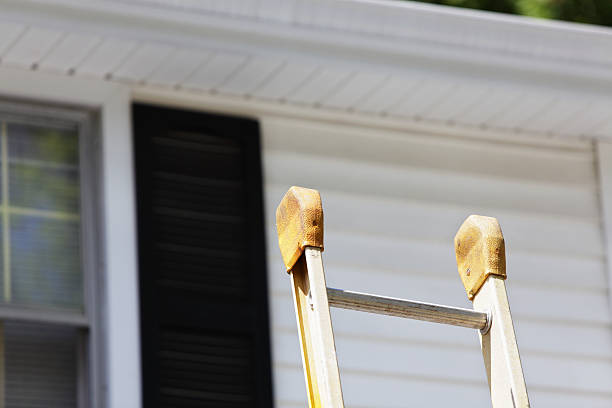 Best Historical Building Siding Restoration  in Linden, AZ